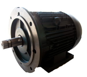 Motor Trifásico Blindado 10CV 4P 132B34D Hercules